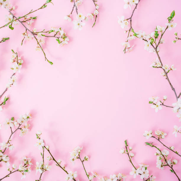 istock Round frame of spring white flowers isolated on pink background. Flat lay, top view. Spring time background. 881072738