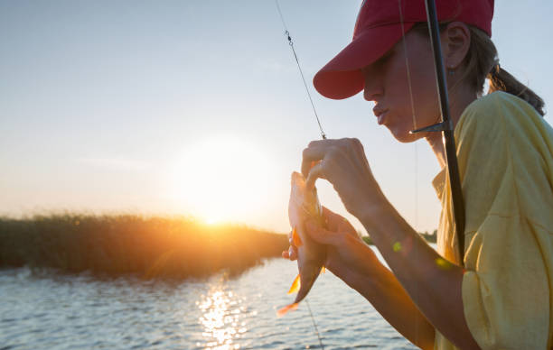 Fishing Young lady fishing perch on the river at sunset broad catch stock pictures, royalty-free photos & images