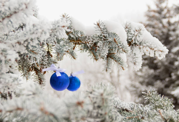 istock Two shiny blue Christmas ball hanging on snow branch 881083744
