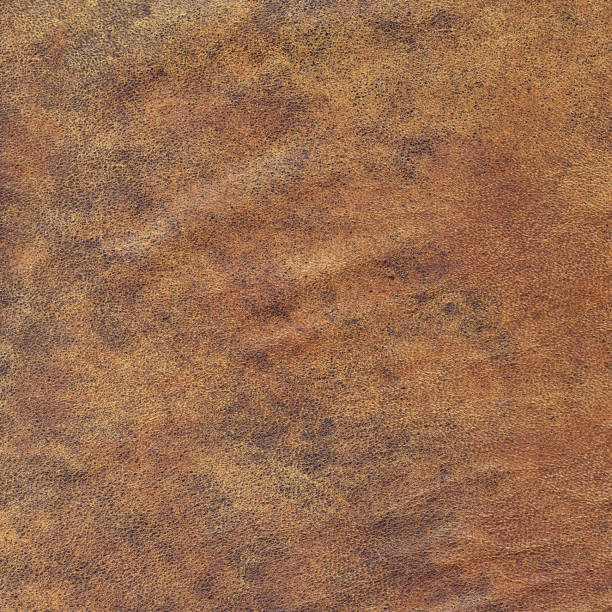 istock High Resolution Antique Cowhide Crumpled Coarse Grunge Texture 881084454