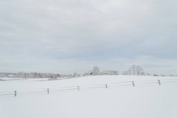 istock winter rural scene with snow and white fields 881090010