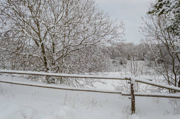 istock winter rural scene with snow and white fields 881090052