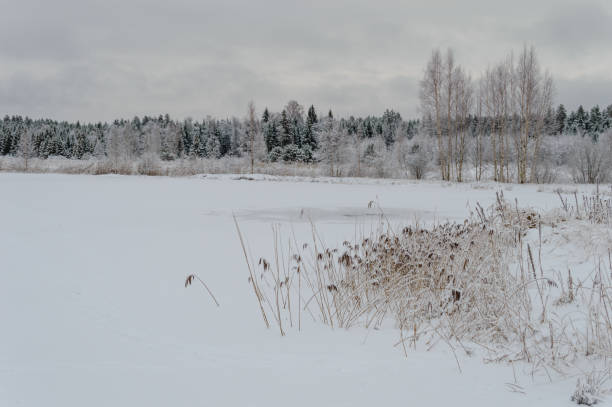 istock winter rural scene with snow and white fields 881090230