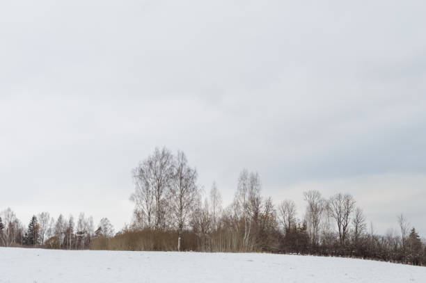 istock winter rural scene with snow and white fields 881090398