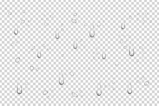 Vector illustration of Vector set of realistic isolated water droplets on the transparent background.