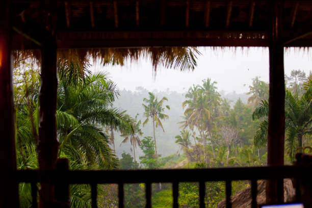 istock View from the balcony in a misty landscape 881100480