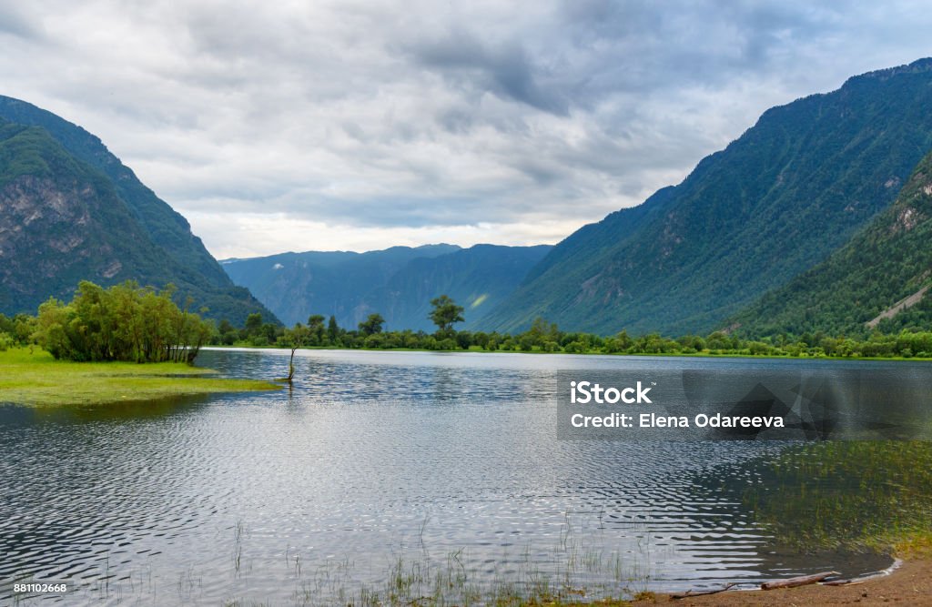 Südufer des Telezkoje See am Morgen. Republik Altai. Russland - Lizenzfrei Abenddämmerung Stock-Foto