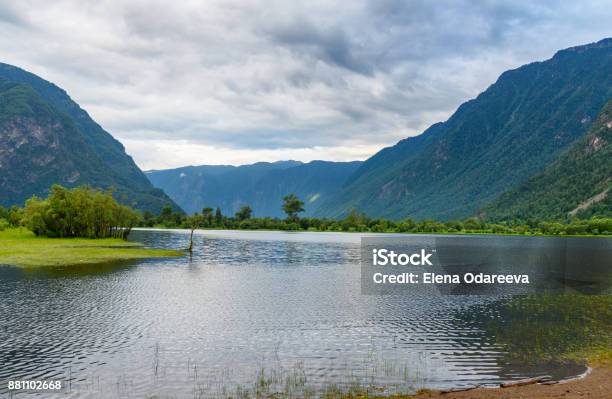 Südufer Des Telezkoje See Am Morgen Republik Altai Russland Stockfoto und mehr Bilder von Abenddämmerung