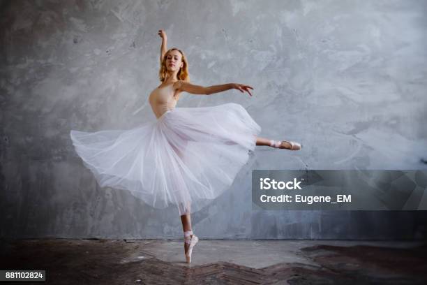 Young And Slim Ballet Dancer Is Posing In A Stylish Studio With Big Windows Stock Photo - Download Image Now