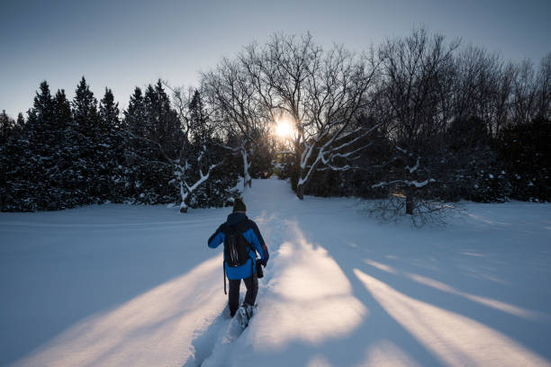 mann, schneeschuhwandern im winter - winter landscape canada branch stock-fotos und bilder