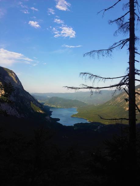 istock View on Lake Bohinj with Vogel mountain and larch tree 881114556