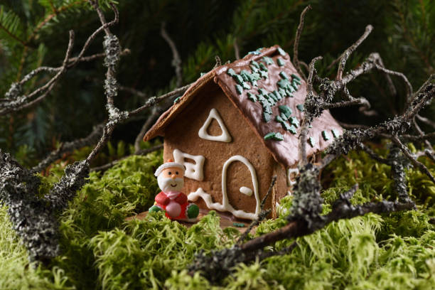 домашний рождественский пряничный домик и улыбчивый марципан деда мороза в лесу с зеленым мхом и сухими ветвями - зелёная плесень стоковые фото и изображения