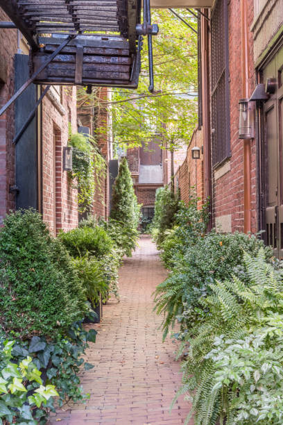 istock Brick Alley Way Garden 881118416