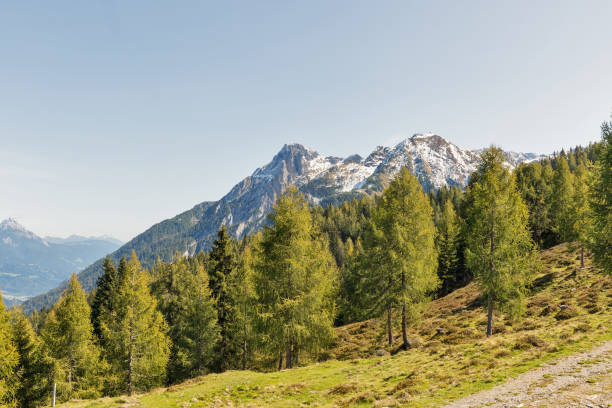 istock Alpine landscape in Western Carinthia, Austria. 881125232