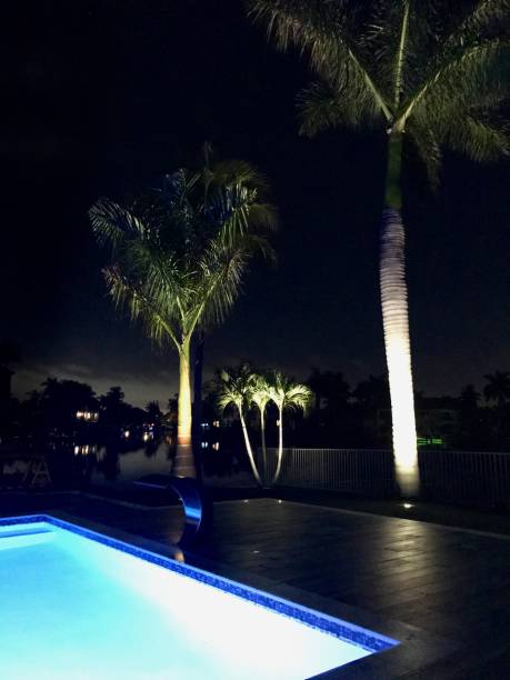 istock Landscape Lighting Illuminates Palm Trees and Pool in Modern Backyard 881127352