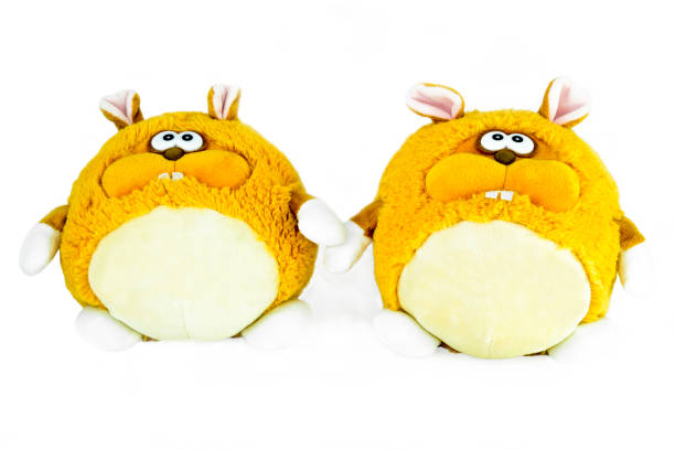 istock Two soft toy hamster isolated on white 881128360