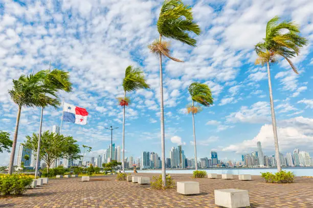 Panorama Panama city, in front palm trees and Panamian flag on plato, in background high buildings against blue sky. Panama