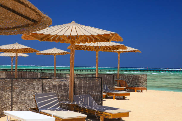 istock Egyptian parasol on the beach 881134632