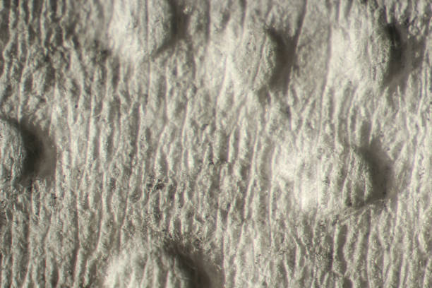 istock texture. enlarged with a slit lamp paper tissue for hands 881146704