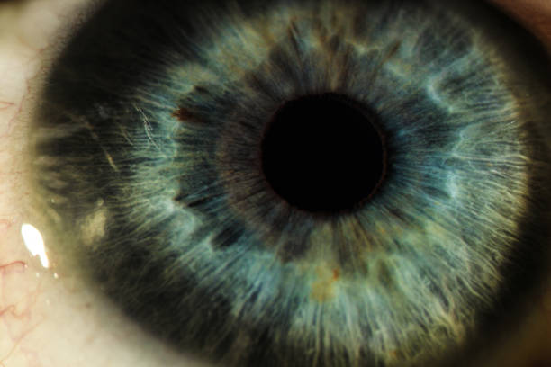 istock An enlarged image of eye with a green iris, eyelashes and sclera. the shot is made by a slit lamp with a built-in camera 881146708