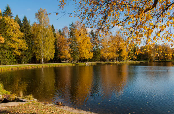 istock The landscape Park in Pavlovsk 881154018