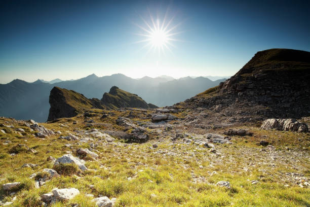 istock sunshine over alpine meadow in summer 881159476