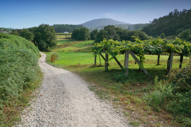 Camino de Santiago trail through the landscape close to Caldas de Reis, Galicia, Spain