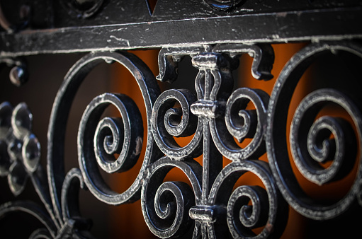 Forged decorative iron elements on the iron fence