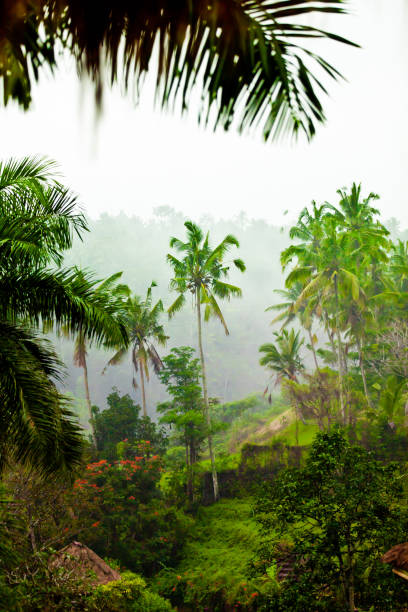 istock Beautiful Asian Landscape 881215586