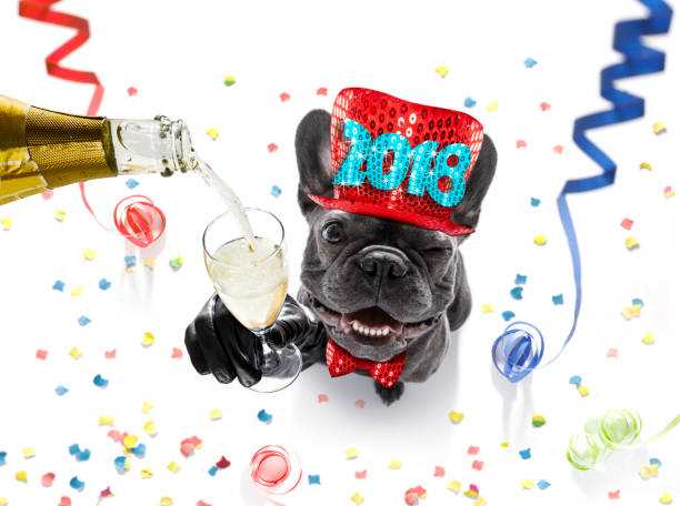 istock happy new year dog celebration 881229468