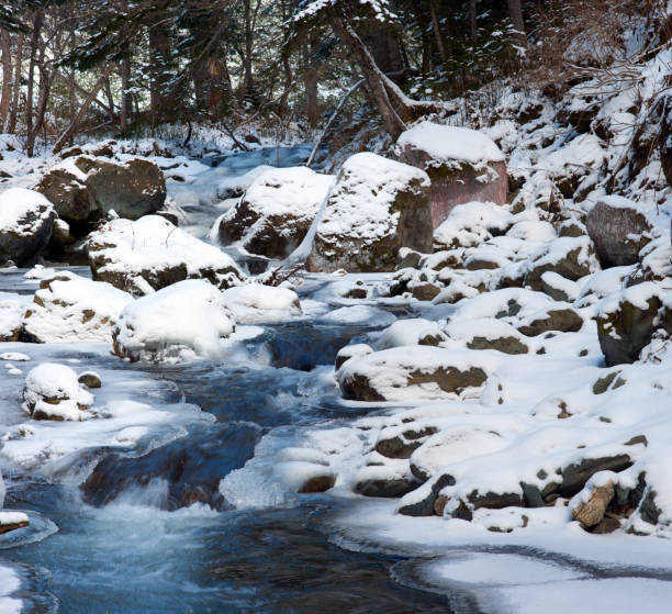 Landscape of a small stream with ice and snow in the Pyrenees, among the fir trees. In the commune of Les Angles in Occitanie in the Pyrénées Orientales.