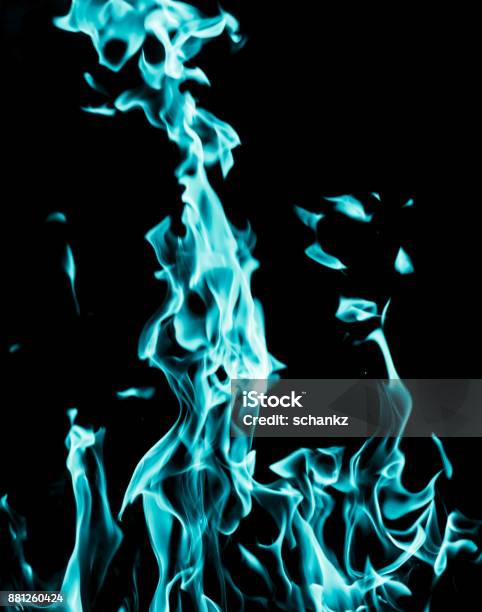 Blue Flame Fire On Black Background Stock Photo - Download Image Now -  Abstract, Airport, Animal Wildlife - iStock