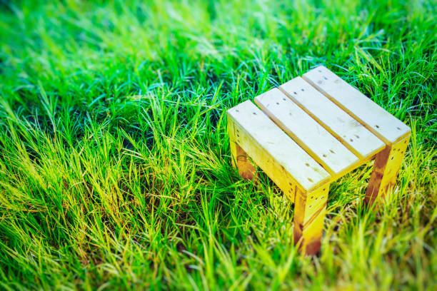 chair in meadow