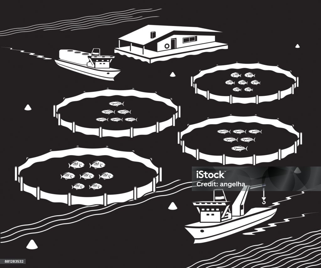 Sea fish farm Sea fish farm - vector illustration Fish Farm stock vector