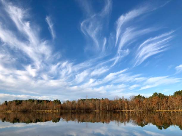 Wispy Clouds over Trees Wispy Clouds over trees along the Arkansas River. cirrus stock pictures, royalty-free photos & images