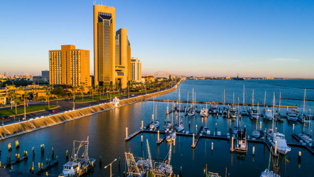 paradise palm trees and golden towers along corpus christi , tx bayfront at sunrise - barco de pesca de camarões imagens e fotografias de stock