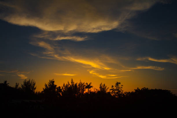 istock Sunset Sihouette Palm Tree on Thailand 881308464