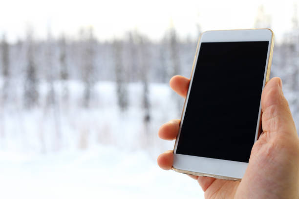 istock Phone in the hands on the winter forest background 881311420