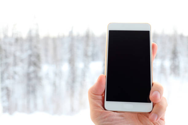 istock Phone in hand on the winter forest background 881311448