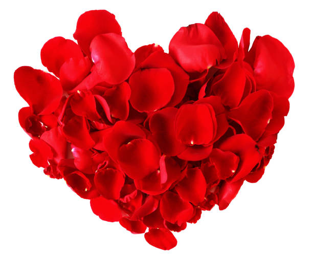 istock red heart made from rose petals isolated on white background. 881313556