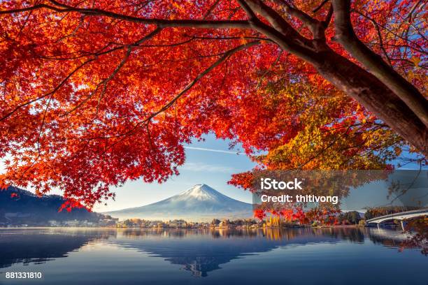 Colorful Autumn Season And Mountain Fuji With Morning Fog And Red Leaves At Lake Kawaguchiko Is One Of The Best Places In Japan Stock Photo - Download Image Now