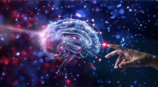 Hand touching brain and network connection on glitter bright lights colorful  background Hand touching brain and network connection on glitter bright lights colorful  background human nervous system stock pictures, royalty-free photos & images