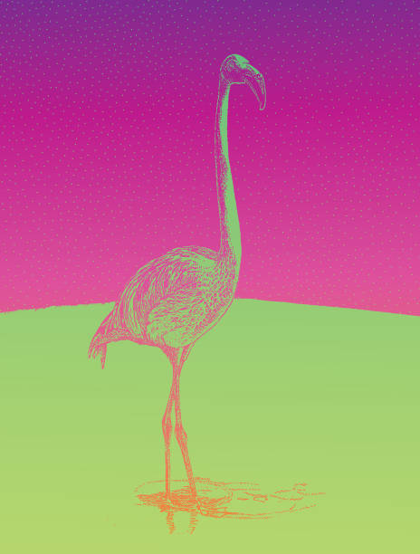 istock Discovering Mexico. Colorful mezzotint of a Flamingo. 881358774