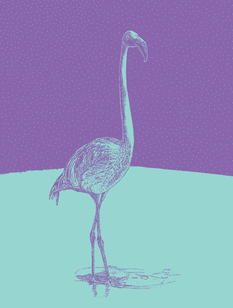 istock Discovering Mexico. Colorful mezzotint of a Flamingo. 881358800