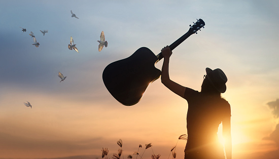 Musician holding guitar in hand with free bird of silhouette on sunset nature background