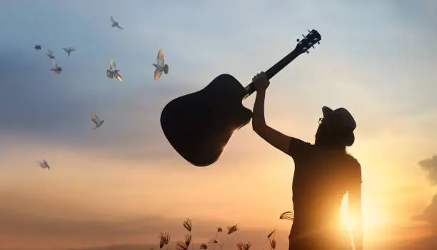 Photo of Musician holding guitar in hand with free bird of silhouette on sunset nature background