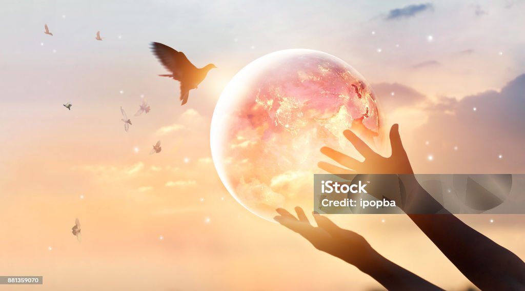 Mujer tocando la tierra del consumo de energía de la humanidad al pájaro de noche y sin disfrutar de la naturaleza en puesta de sol de fondo, concepto de esperanza, elementos de esta imagen proporcionada por la NASA - Foto de stock de Globo terráqueo libre de derechos