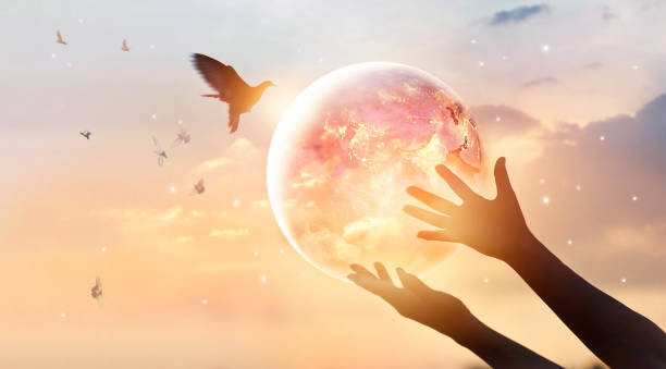 Woman touching planet earth of energy consumption of humanity at night, and free bird enjoying nature on sunset background, hope concept, Elements of this image furnished by NASA Woman touching planet earth of energy consumption of humanity at night, and free bird enjoying nature on sunset background, hope concept, Elements of this image furnished by NASA  dove bird photos stock pictures, royalty-free photos & images