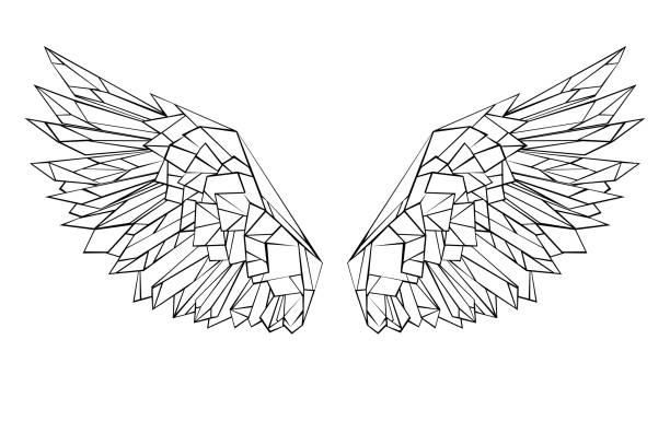 Polygonal wings Artistic drawn, black outlined, polygonal wings on a white background. Polygonal graphics. Contour wings. aircraft wing stock illustrations