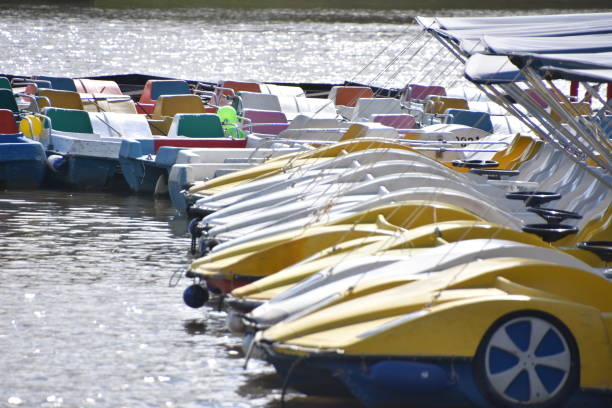 istock pedal boats FOR RENT 881418464